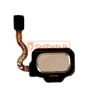 Replacement for S8 S8PLUS FINGER PRINT FLEX SAMSUNG - Quality Phone Parts in Sri Lanka